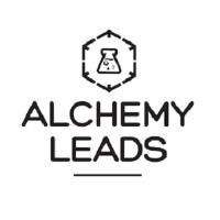 AlchemyLeads - Search Engine Optimization image 1